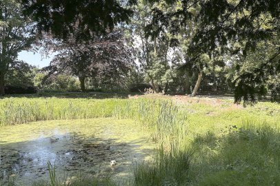 So schön ist der Cassenspark in Larrelt - Bild 24