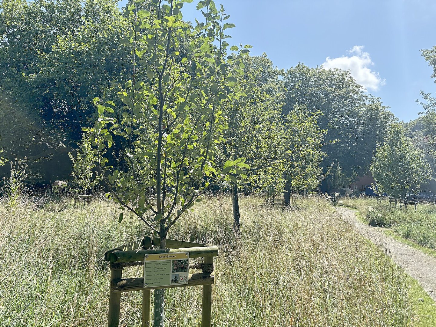 So schön ist der Cassenspark in Larrelt - Bild 28