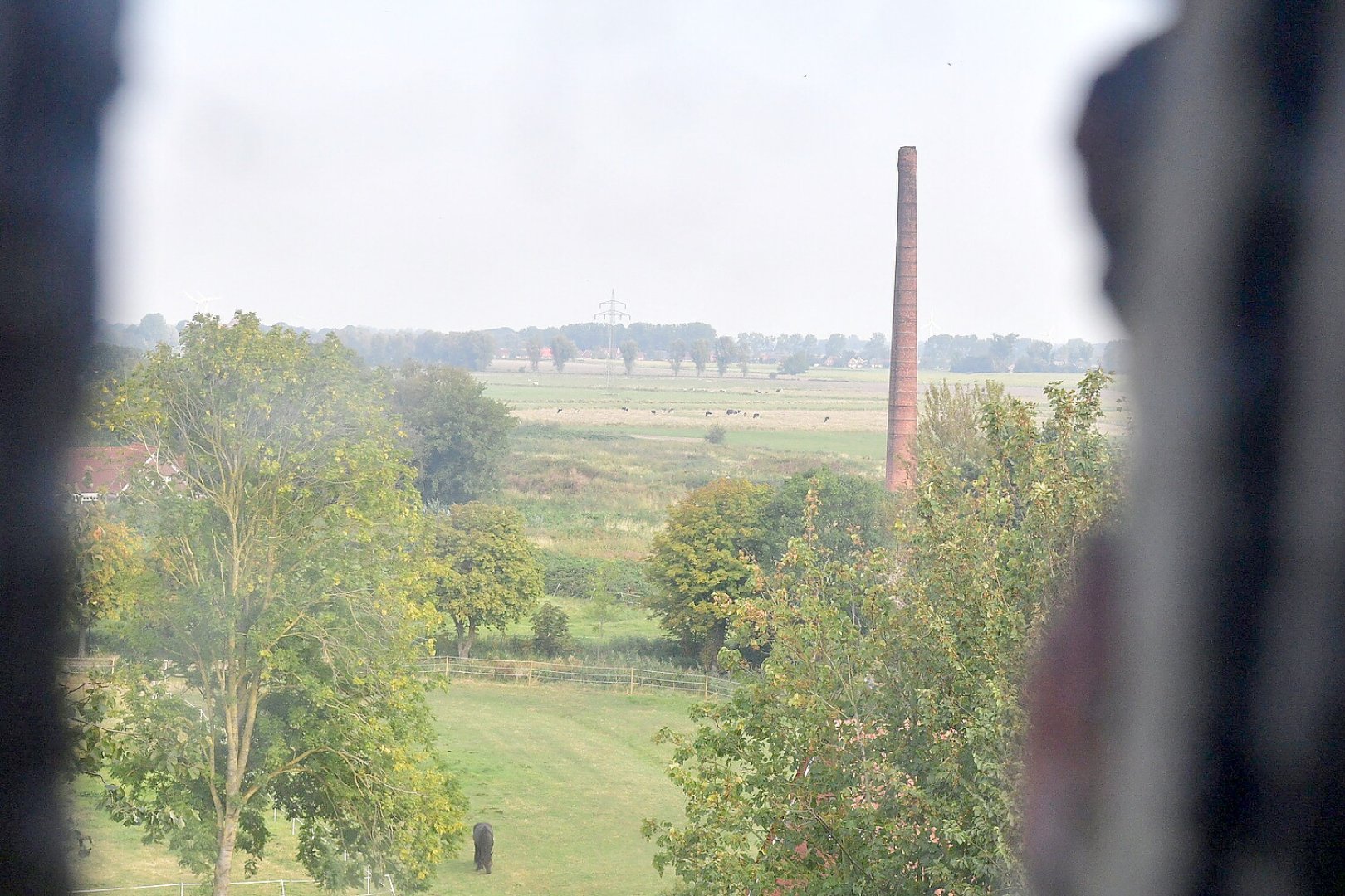 Kirchturmtour in der Krummhörn - Bild 16