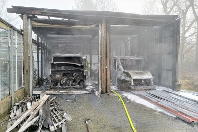 Feuer in Gärtnerei in Diele - Bild 3