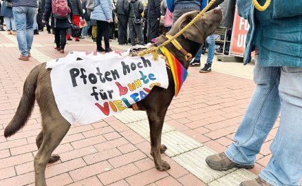 Mehr als 1500 Menschen bei Demonstration in Leer - Bild 4