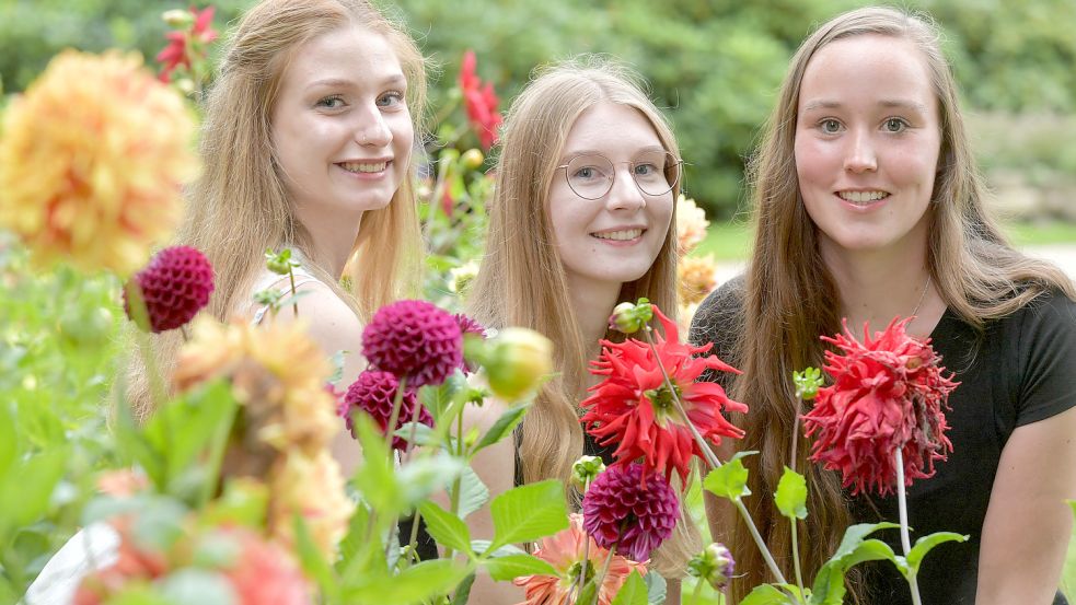 Anna-Lea Oltmanns (von links), Sarah Emkes und Alena Meyer wollen Blütenkönigin von Wiesmoor werden. Foto: Ortgies