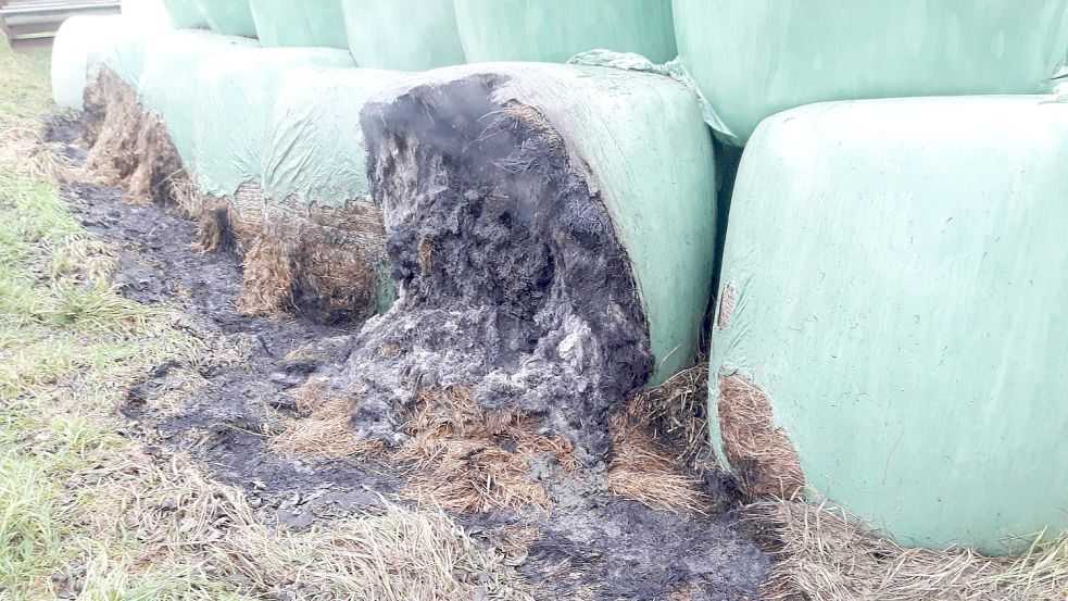 Mehrere Silageballen sind von bislang unbekannten Tätern in Detern in Brand gesetzt worden. Foto: privat