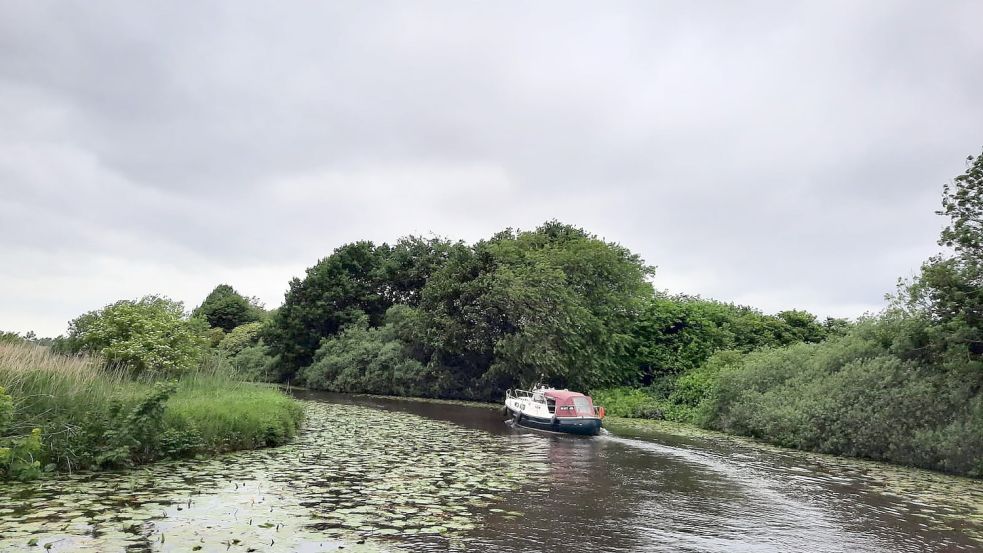 Auf dem Fehntjer Tief sorgen der zu starke Bewuchs für Einschränkungen und Gefahren für die Bootsschifffahrt. Foto: privat