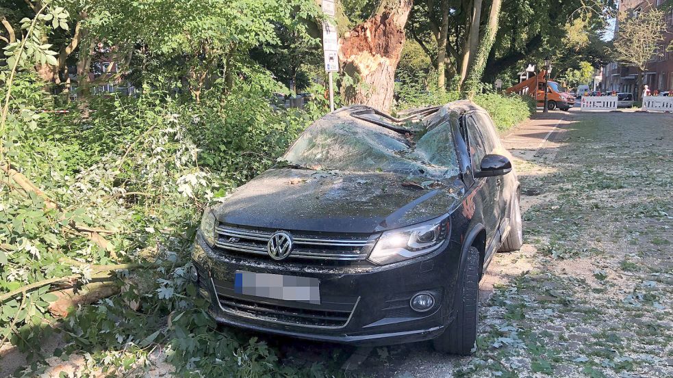 Dieser VW Tiguan eines Ehepaars aus Hinte war von dem abgebrochenen Ast am schwersten getroffen worden. Er stand am Freitagvormittag noch an der Unglücksstelle und lockte Schaulustige an. Foto: H. Müller