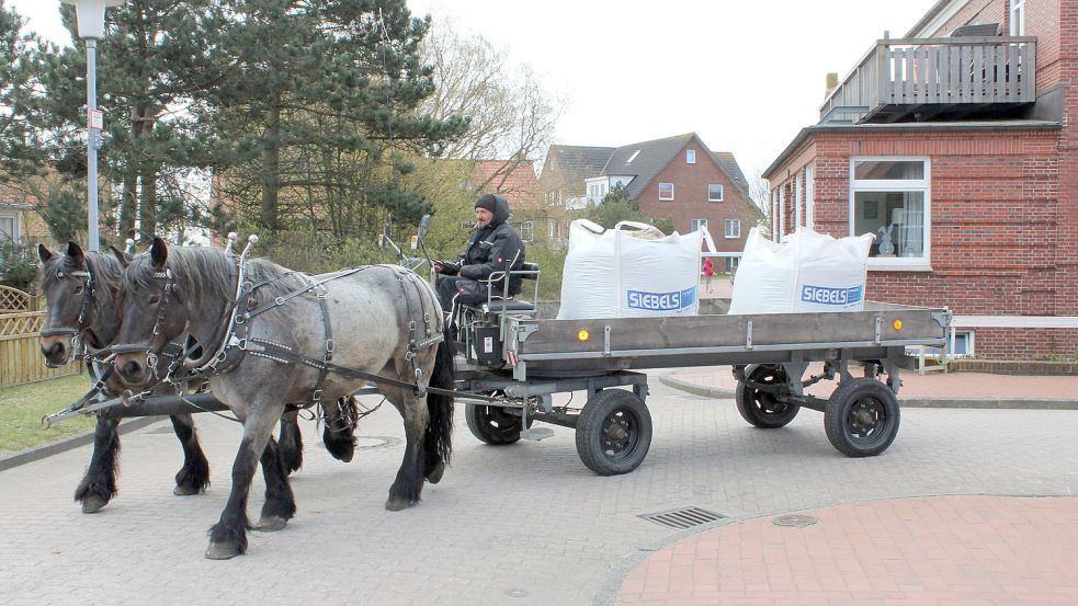 Wie vor 100 Jahren: Auf Juist ist der gesamte Personen- und Güterverkehr von Pferden abhängig. Daran wird sich auch weiterhin erst einmal nichts ändern. Archivfoto: Erdmann