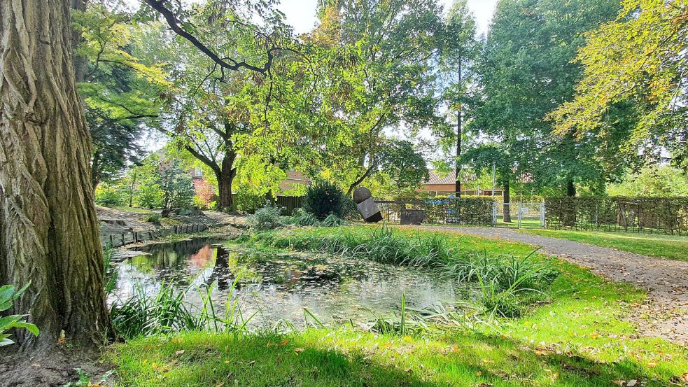 Der Teich und die Wegeführung im Stadtgarten sollen neu gestaltet werden. Mit den Arbeiten soll noch in diesem Jahr begonnen werden. Foto: Gettkowski