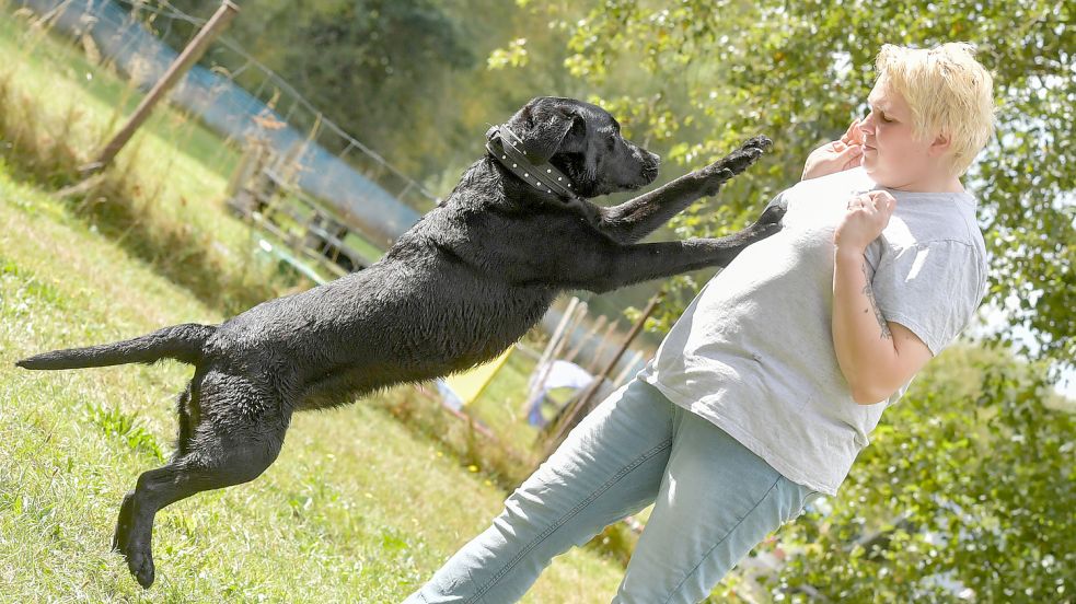 Wenn ein Hund Menschen – wie auf diesem Symbolbild aus dem Spätsommer – anspringt, kann einiges schief gehen. Foto: Ortgies