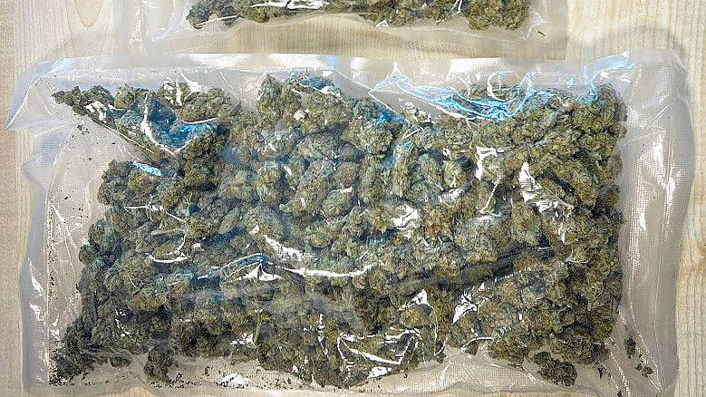 500 Gramm Marihuana hatte der 22-Jährige in Leer bei sich. Über den Eigenbedarf geht die Menge laut Zoll hinaus. Foto: Zoll