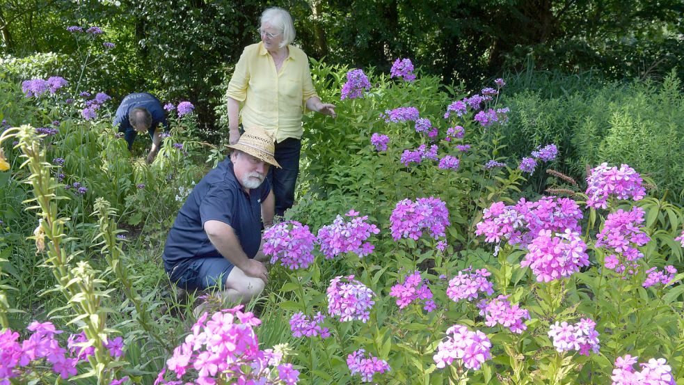 Die Stauden sind das Herzstück von Pagels' Garten. Foto: Ortgies/Archiv