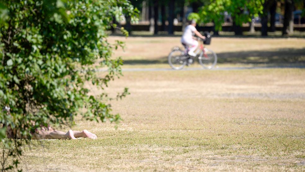 In Norddeutschland ist vielerorts zu trocken. Foto: dpa/Julian Stratenschulte