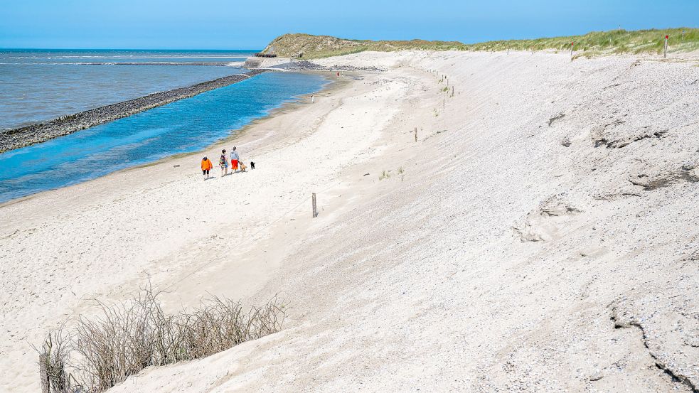 Die Schutzdüne im Westen von Spiekeroog hat in den vergangenen Jahren gelitten. Foto: Schuldt/DPA