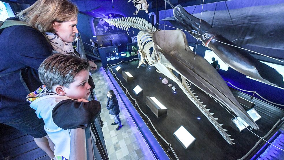 Steffi Wehle und Frederick aus dem Sauerland schauen sich das Walskelett im Waloseum an. Foto: Ortgies