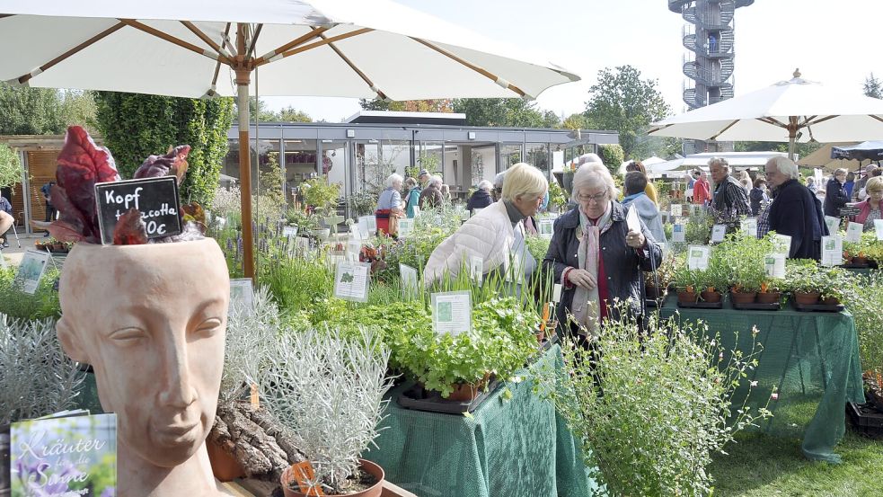 Stöbern kann man beim Herbstmarkt im Park der Gärten. Foto: Park der Gärten