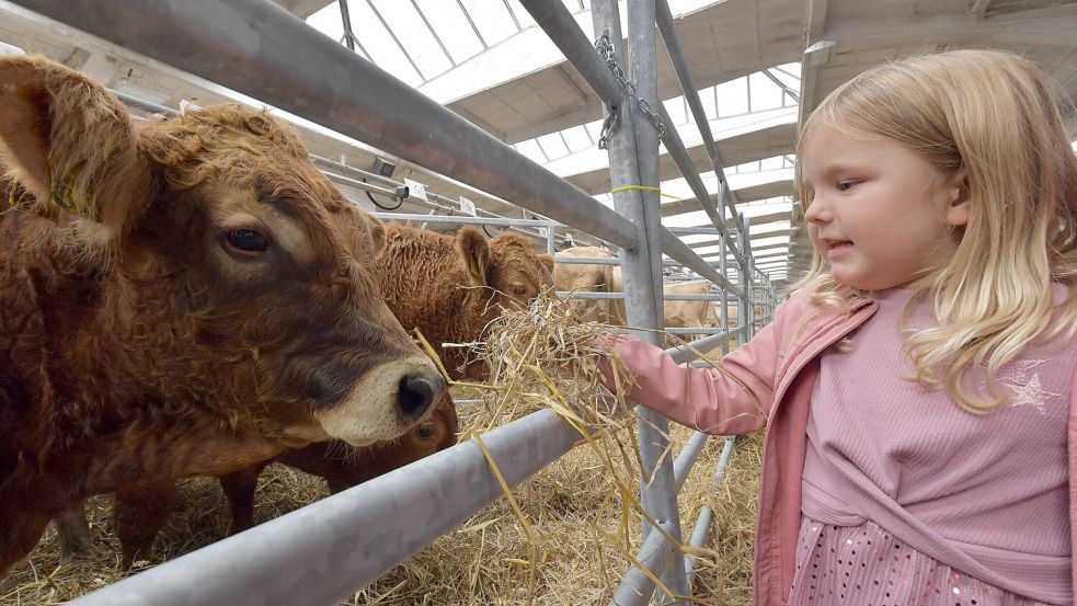 Auch die vier Jahre alte Leevke aus Leer sah sich in der Halle um. Foto: Ortgies