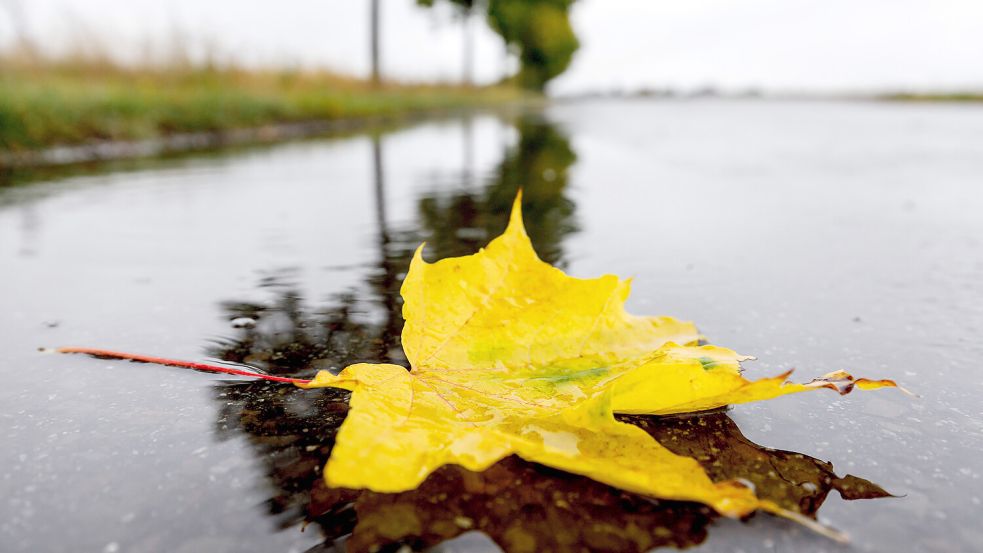 Der Herbst kommt mit großen Schritten. Es bleibt aber weiterhin relativ mild in Norddeutschland. Foto: imago-images/Andreas Franke