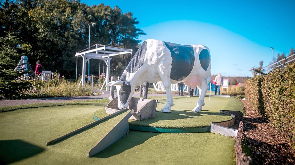 Der Erlebnisgolfplatz, auf dem man unter anderem Bälle im Futtertrog einer Kuh versenken muss, ist ein Hotspot für Touristen in Wiesmoor. Foto: Cordsen