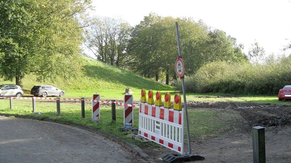 Autos stehen während des Gallimarktes auf der Wiese am Plytenberg. Foto: Hormig