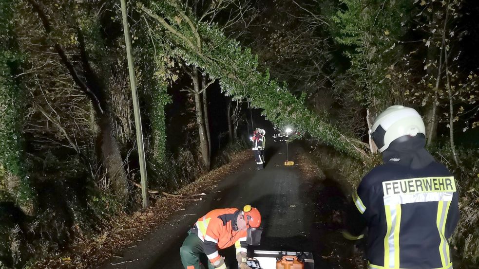 In Egels kippte ein Baum auf eine Telefonleitung. Foto: Campen/Freiwillige Feuerwehr Aurich