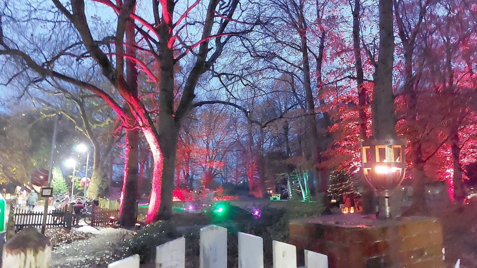 Der Cassenspark in Larrelt war im vergangenen Jahr das erste Mal weihachtlich erleuchtet. Leider war das Wetter schlecht. Dieses Jahr könnte es mehr Besucher geben. Foto: Hanssen/Archiv