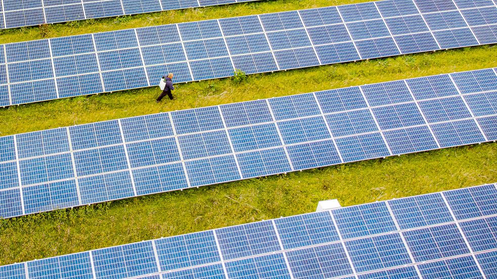 Auf einer Fläche von 25 Hektar soll an der A31 in Hinte ein Solarpark mit Freiflächen-Photovoltaik entstehen. Symbolfoto: Birchall/PA Wire/dpa