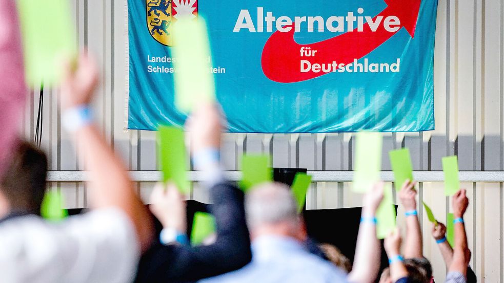 Über den richtigen Umgang mit der AfD scheiden sich die Geister. In einigen Bundesländern herrscht vor den AfD-Erfolgen regelrechte Panik, während andere Landesregierungen die Partei mit Fairness ruhigstellen. Foto: dpa/Axel Heimken