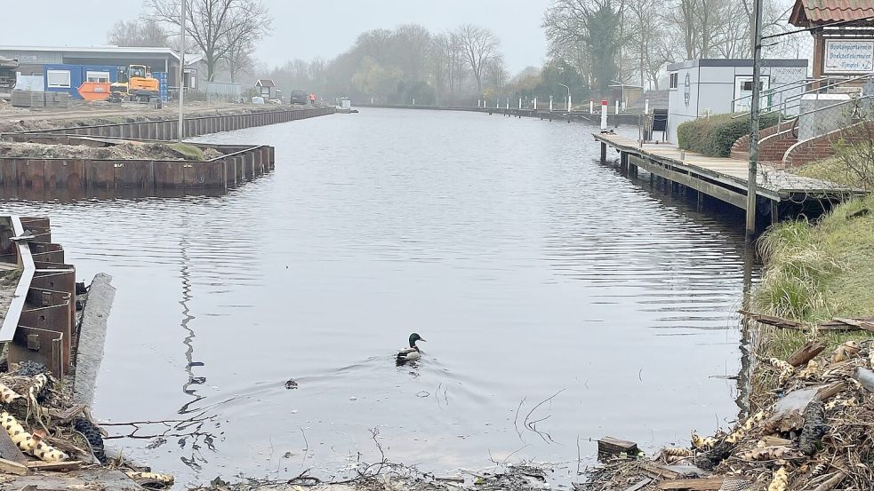 Die Enten haben in Timmel wegen der fehlenden Steganlage freie Bahn. Fotos: Boschbach