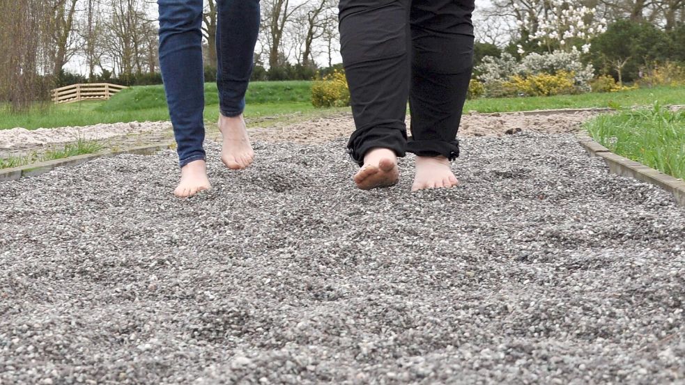 Nicht jeder Untergrund ist weich. Auf dem Pfad wechseln sich grobe und feine ebenso wie weiche und härtere Materialien ab. Foto: Ullrich