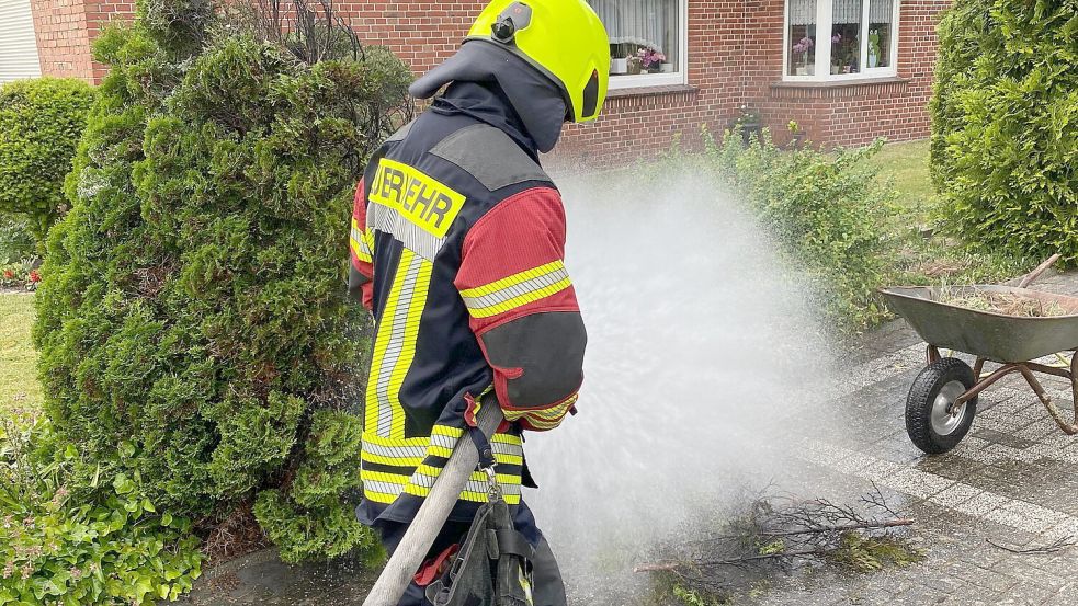 Eine Hecke geriet in Warsingsfehn in Brand. Foto: Wolters