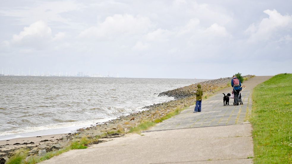 Die Knock nordwestlich von Emden ist besonders bei Spaziergängern beliebt. Foto: Archiv/Wagenaar