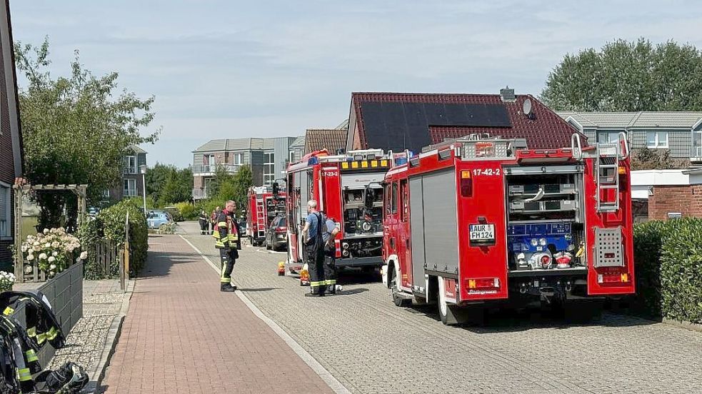 Die Feuerwehren waren mit fünf Fahrzeugen vor Ort. Foto: Feuerwehr Hinte