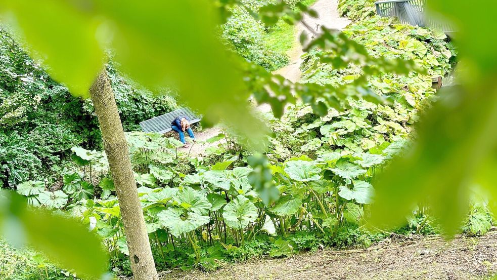 Einsamkeit kann als sehr bedrückend empfunden werden. Foto: Ortgies