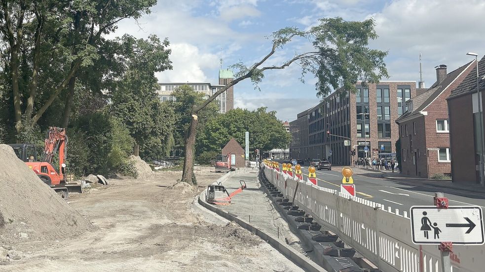 Ist das Kunst oder kann der weg? Ein Baumstamm mit einem Ast steht noch auf der Baustelle für die geplante Kunstmeile. Foto: Hanssen