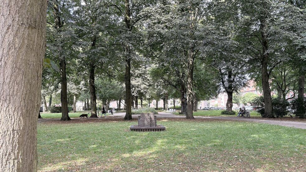 Der Burgplatz am Tag: Hunde werden Gassi geführt, Leute ruhen sich auf Bänken aus. In der Nacht zu Samstag wurde dort ein Mann von Jugendlichen angegriffen.