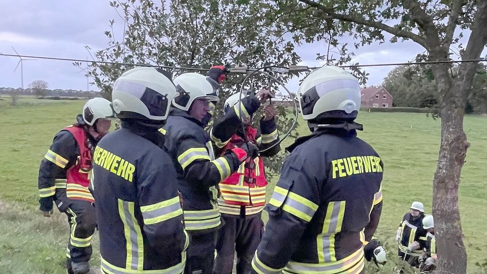 In den Abendstunden traf ein umstürzender Baum in der Dietrichsfelder Straße einen Telefonmast. Foto: Feuerwehr