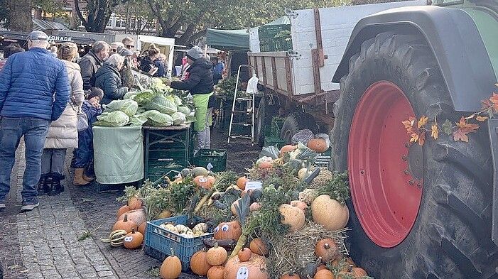 Sorgten für herbstliche Stimmung: Die Kürbisse vom Zenker Gemüsehof.