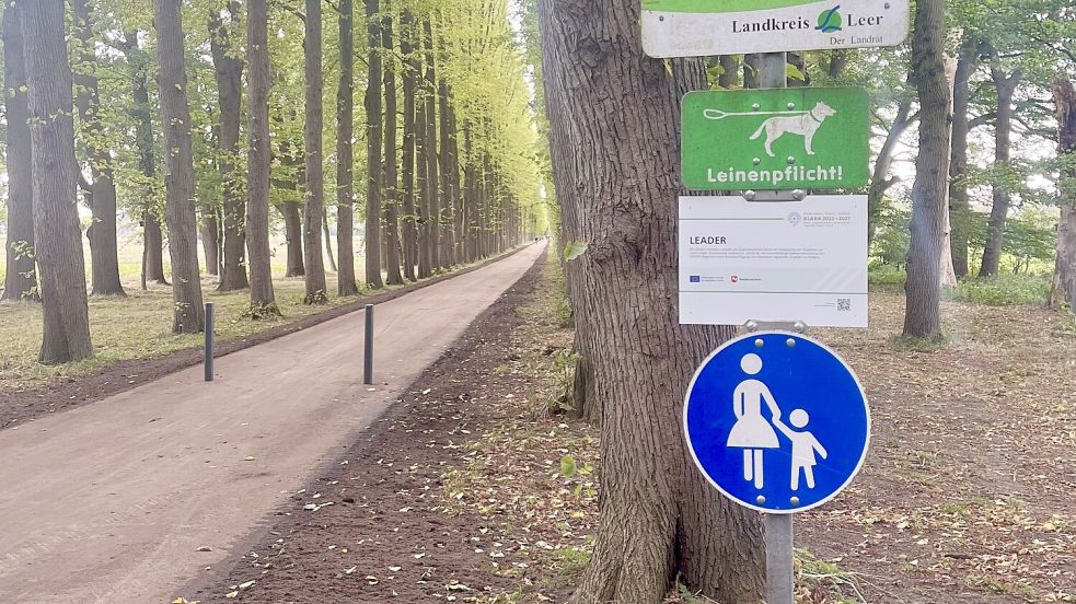 Derzeit ist die Evenburg-Allee nur für Fußgänger freigegeben. Foto: Landkreis Leer