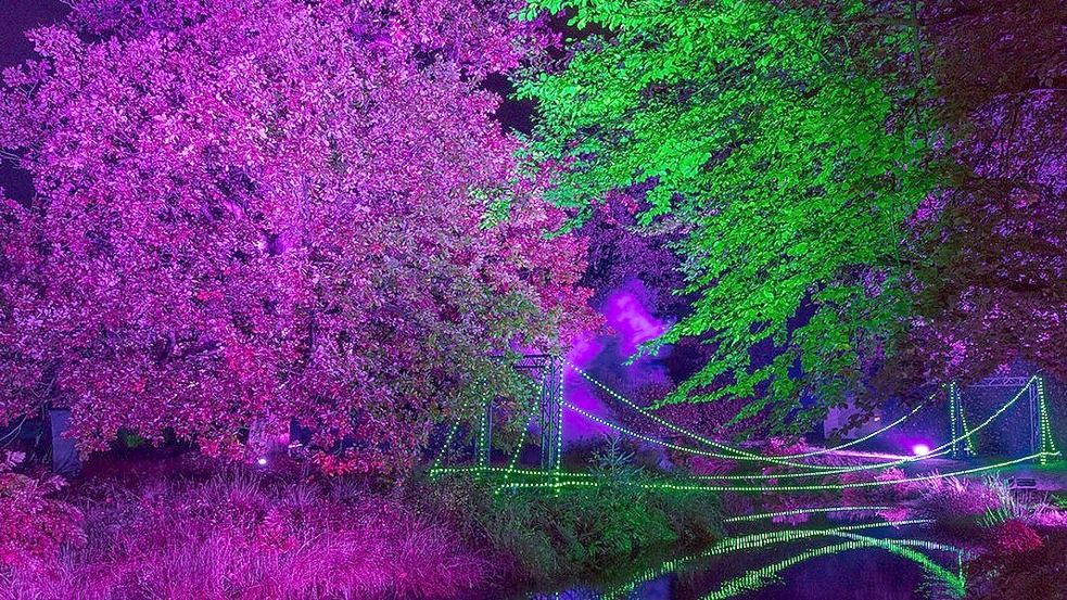 Im Lütetsburger Schlosspark ist eine Lichtershow. Foto: privat