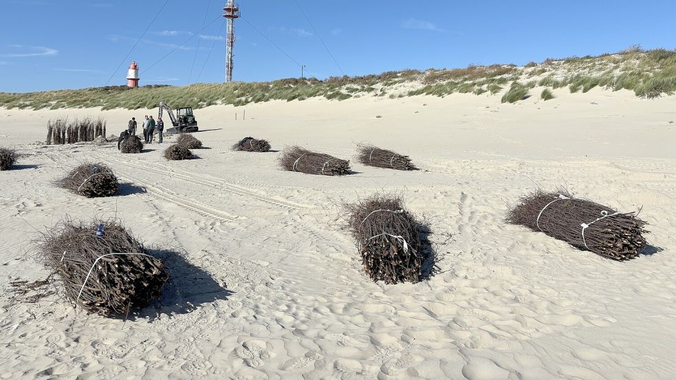 Am Montag haben die Arbeiten am Südstrand begonnen. Foto: Ferber