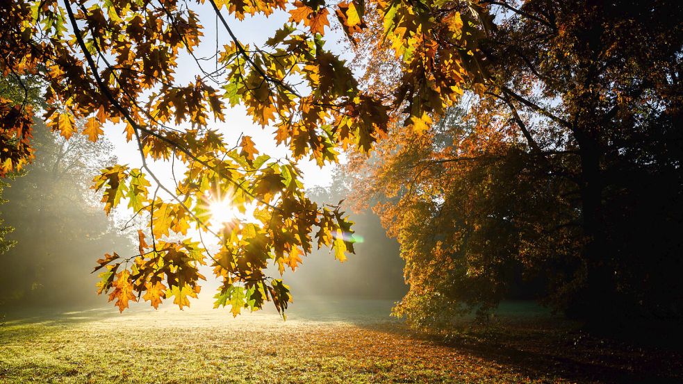 Das Wetter in Niedersachsen ist weitestgehend freundlich, aber mancherorts ist auch Regen möglich. Foto: dpa/Julian Stratenschulte