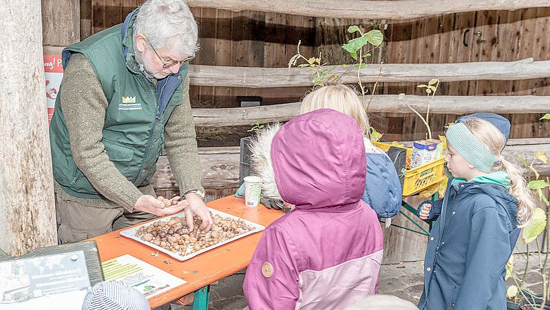 Im Nordhorner Tierpark ist Zootag mit Informationsständen und mehr. Foto: Frieling/Veranstalter