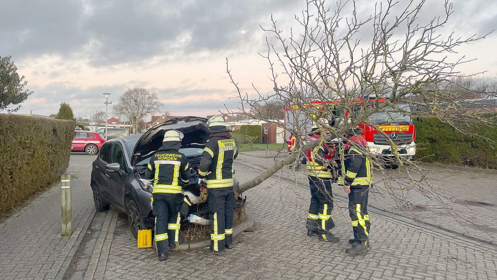 Ein Autofahrer kollidierte am vergangenen Wochenende in Norddeich mit einem Baum. Foto: Freiwillige Feuerwehr Norden