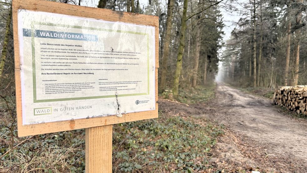 Auf den Schildern am Waldrand informiert die Revierförsterei Hopels über ihre Pflegemaßnahmen. Die sind vorbei – doch die Wege zeigen noch deutliche Spuren. Foto: Böning