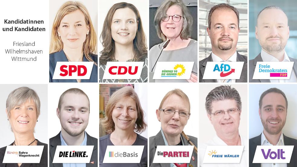 Sie kandidieren im Wahlkreis 26: (oben von links) Siemtje Möller (SPD), Anne Janssen (CDU), Ulrike Maus (Grüne), Martin Sichert (AfD), Robert Wegener (FDP) sowie (unten von links) Agnes Wittke (BSW), Vincent Janßen (Linke), Stephanie Langner (Basis), Anja Sanchez Mengeler (PARTEI) Andreas Lang (Freie Wähler) und Merten Köhler (Volt). Fotos: Archiv/Parteien, privat.