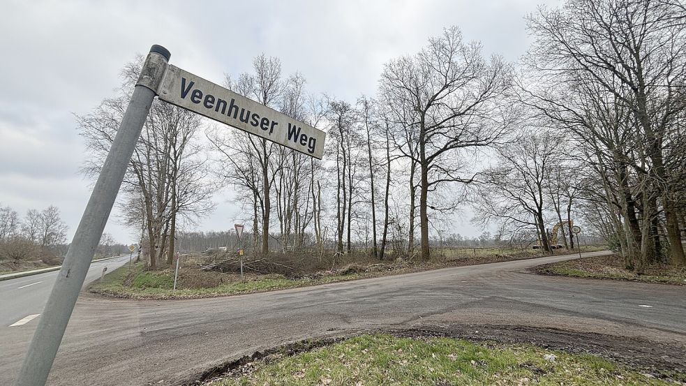 Nördlich der Einmündung Veenhuser Weg werden an der Feldstraße in Logabirum viele Bäume gefällt. Foto: Fäustel